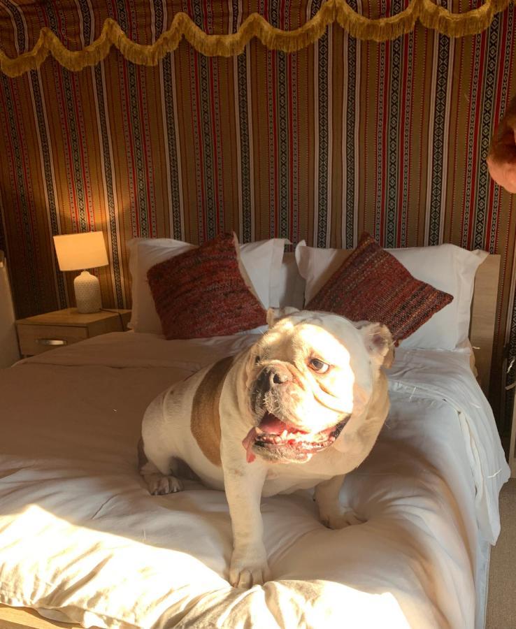 ホテルRak Glamping ラアス・アル・ハイマ エクステリア 写真